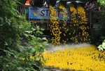 Die Enten wurden, wie auch in den Vorjahren, an der Ilse-Hollweg-Brücke zu Wasser gelassen.